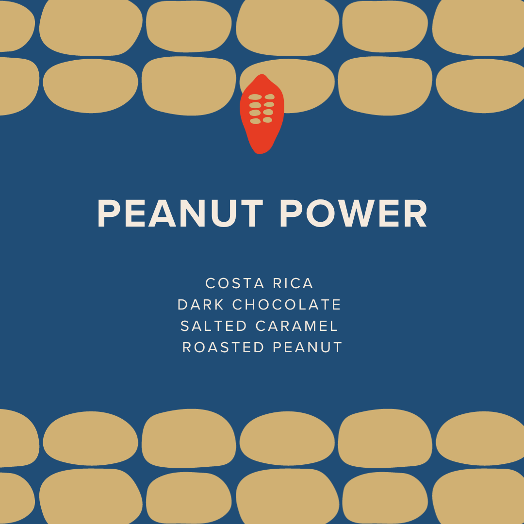 Peanut Power | 63% Dark (Vegan)